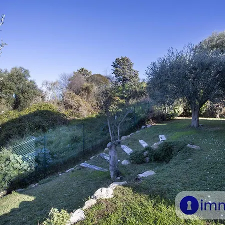 House In With Swimming Pool